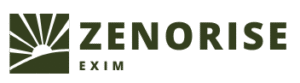 zenorise logos (1)